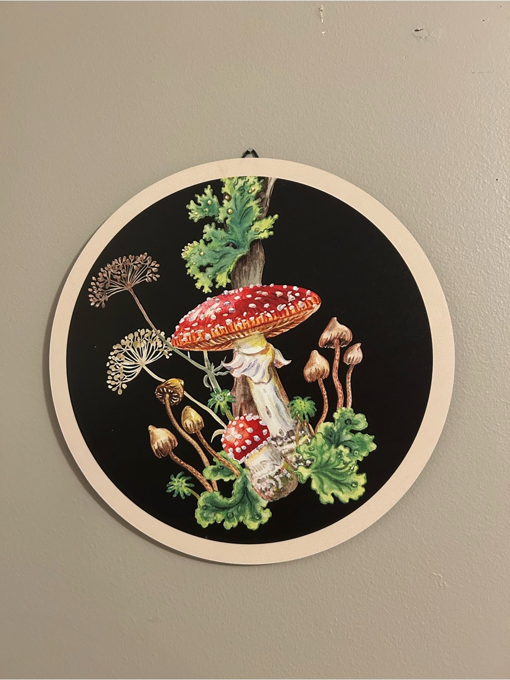 CIRCLE MUSHROOM WALL ART